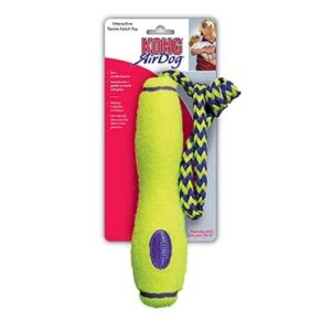 KONG Squeezz Dental Stick Md M - 5,1x5,1x20,3cm groen