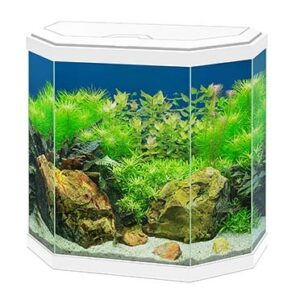 Aquarium aqua 30 led Wit 40x20x45,5CM