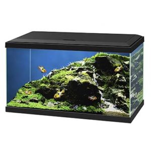 Aquarium aqua 60 led bio cf150 Zwart 60x30x41cm