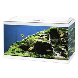Aquarium 60 led cf80 Wit 60x30x41cm