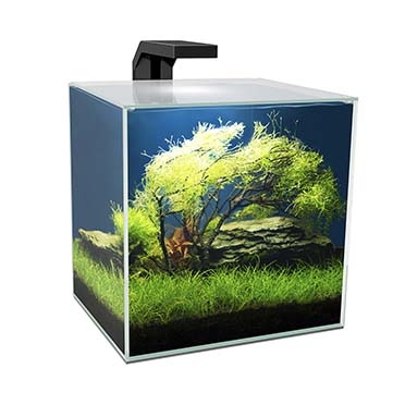 Aquarium cube 15 led 14L