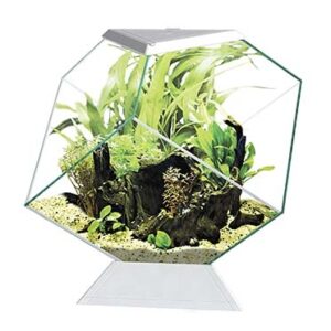 Aquarium aqua 60 led bio cf150 Wit 60x30x41cm