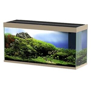 Ciano Kast emotions nature pro 60 NEW Mystic