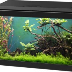 Ciano AQUARIUM AQUA 20 CLASSIC 40x20x24,8cm zwart