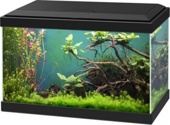 Ciano AQUARIUM AQUA 20 CLASSIC 40x20x24,8cm zwart