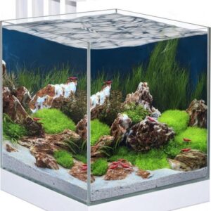 Aquarium nexus pure 25 led 29x33,8x38CM