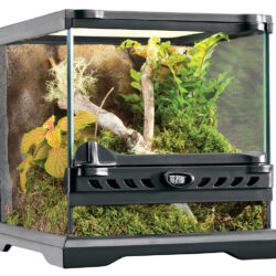 Exo Terra Glas terrarium incl achterwand 20x20x20CM
