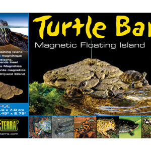 turtle bank