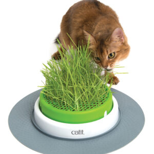 Cat it 2.0 Grass Planter