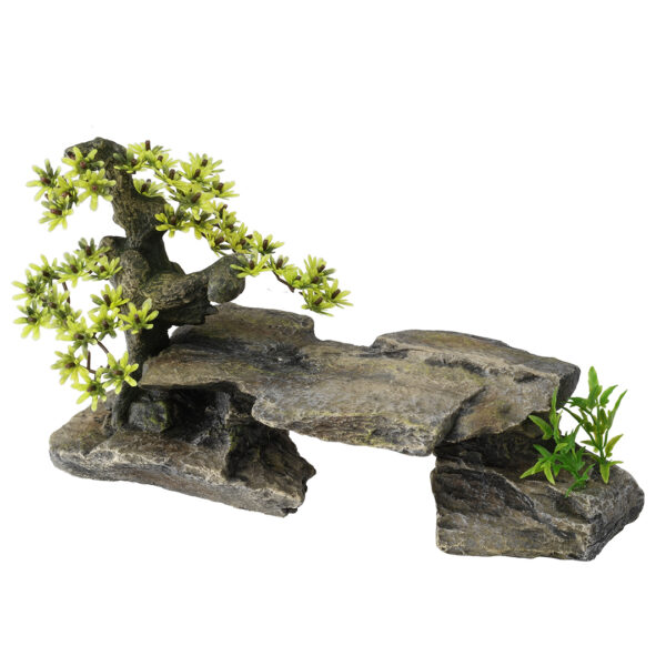 Bonsai steen met planten
