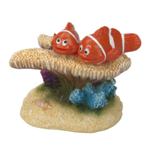 Clownvis 7 Nemo koraal