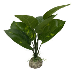 Kunstplant : Anubias 1 24cm groen