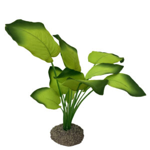 Kunstplant : Anubias 3 20cm groen