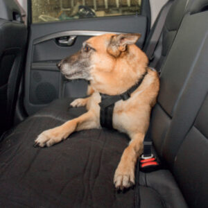 Veiligheidsharnas Hond Auto 85-110cm