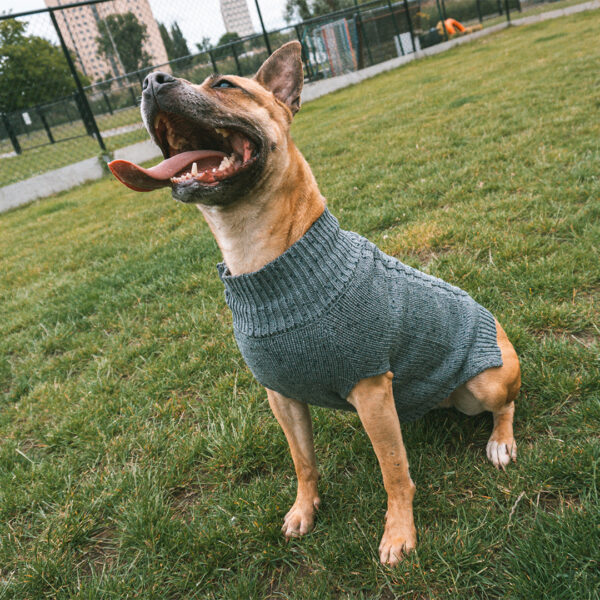 hondensweater
