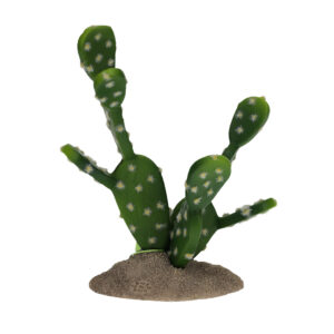 Vijgencactus 15,5x9x16,5cm groen
