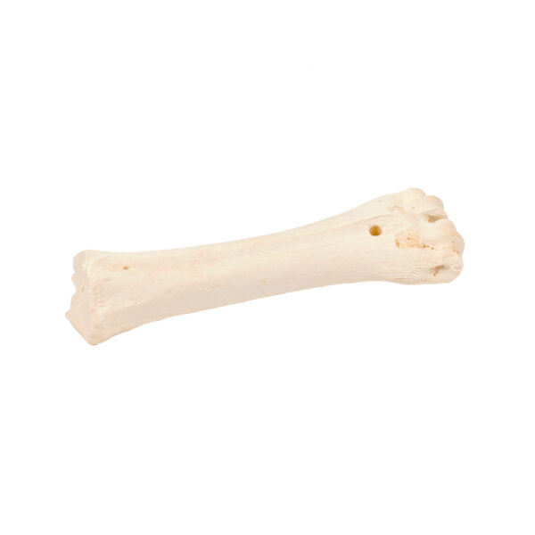 bone! Runderbot Calcium