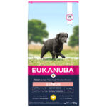 Eukanuba caring senior - large breed - 12kg