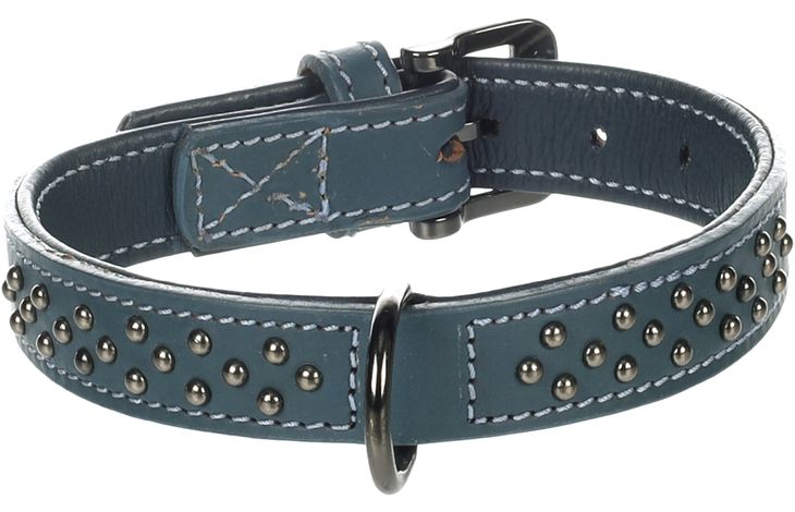 Flamingo Halsband met sierbeslag Denver Blauw