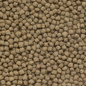 Exo terra soft pellets jonge baardagamen 250gr - 8x8x13cm