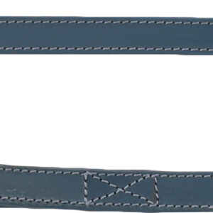 Popular leder halsband blauw M 32-38cm/19mm