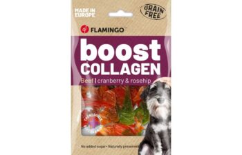 Snack Boost Chips met rund & collageen 60gr